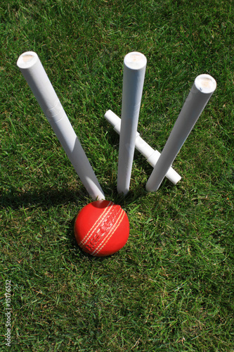 Cricket Stumps, Bail and Ball