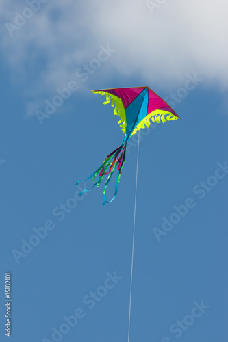 kite in sky