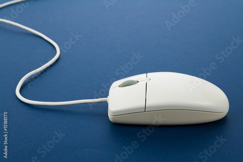 computer mouse