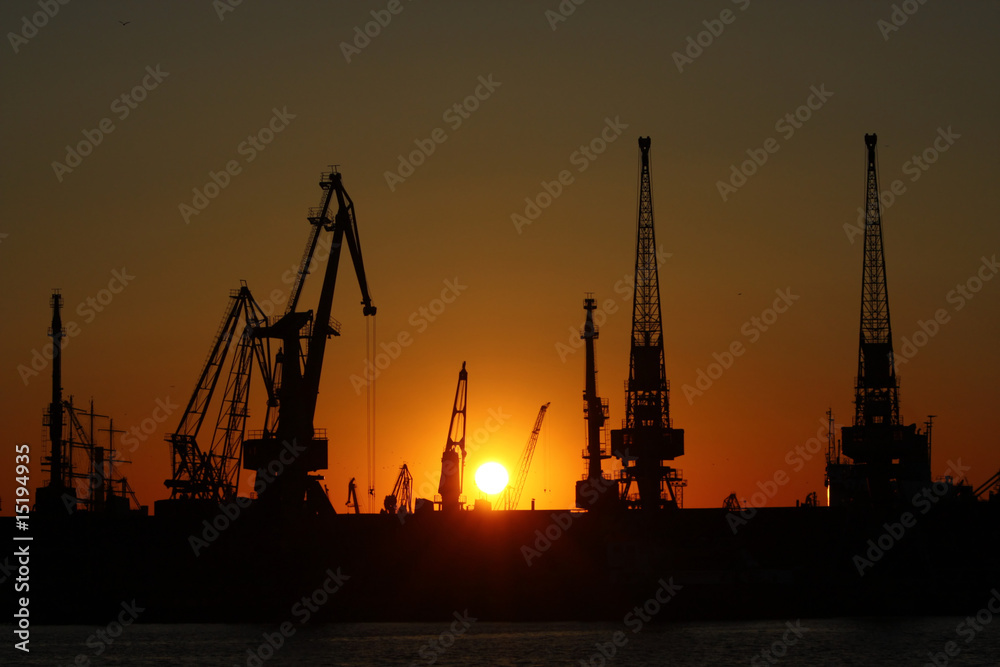 sea cranes on sunset in harbor