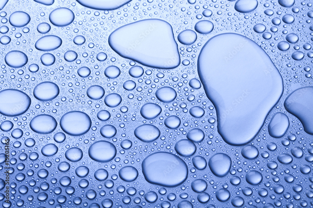 Fresh & Wet Fresh & Wet