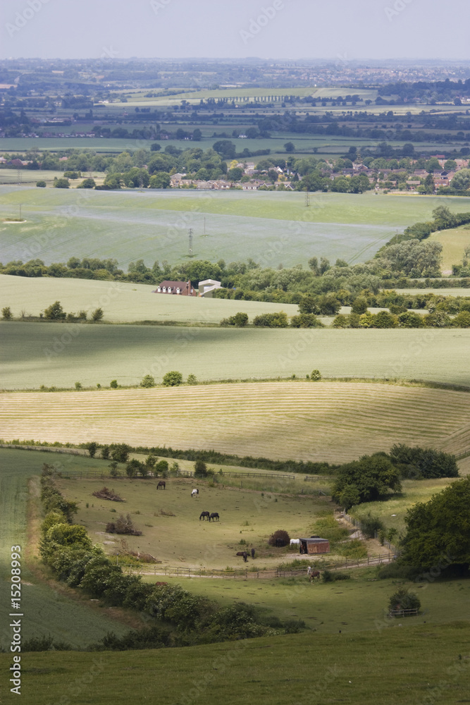 Fototapeta premium english countryside