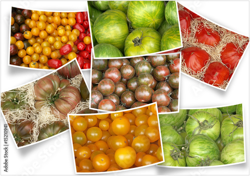 Fototapeta Naklejka Na Ścianę i Meble -  diverses variétés de tomates