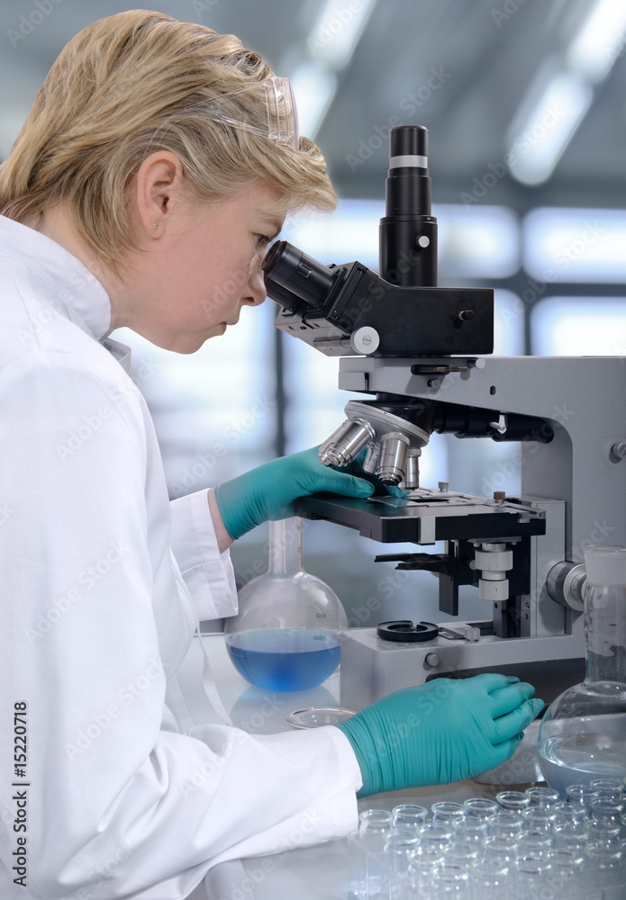 scientist working at the laboratory scientist working at the laboratory