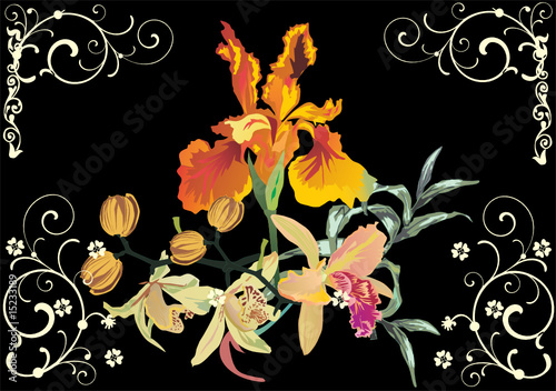 orchid and iris illustation