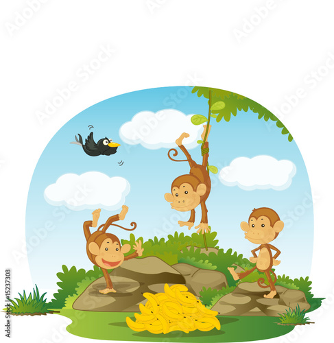 monkeys