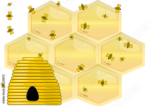 bienen honig illustration