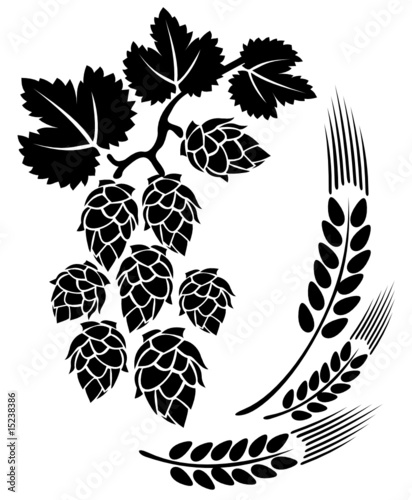 hop and ears