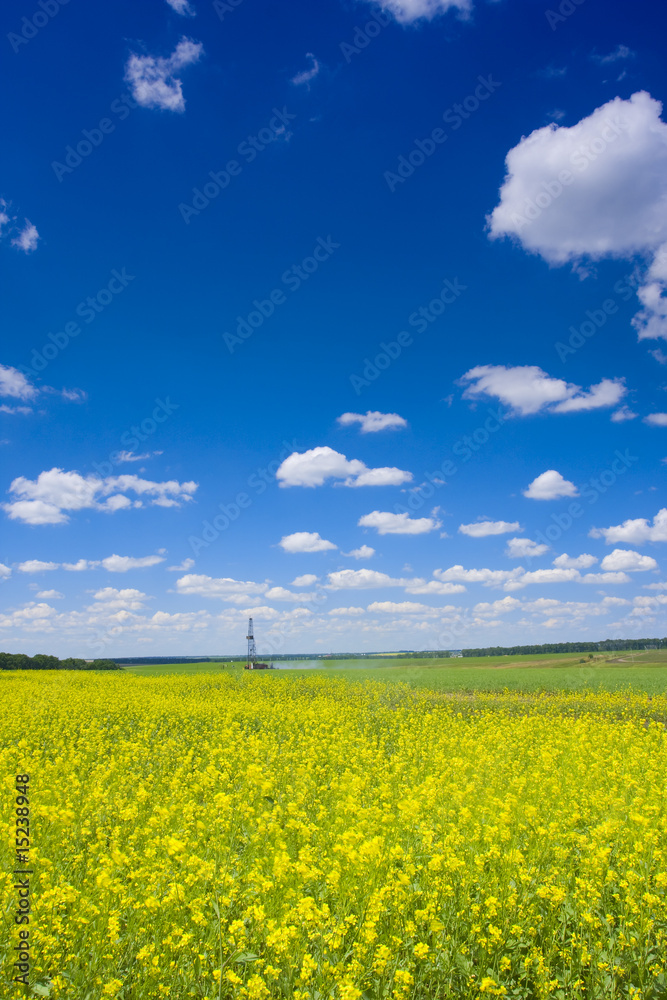 Obraz premium rural landscape