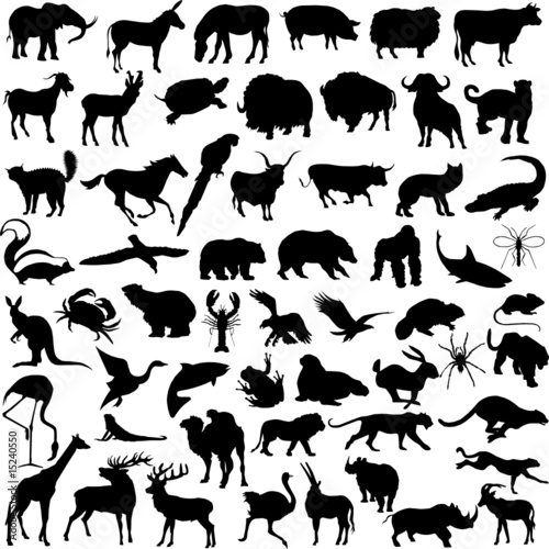 animal mix illustration vector silhouettes