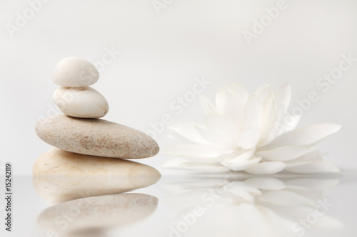 wellness still life: pebbles and white lily, reflection