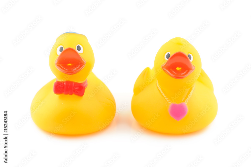 Rubber duck couple Rubber duck couple