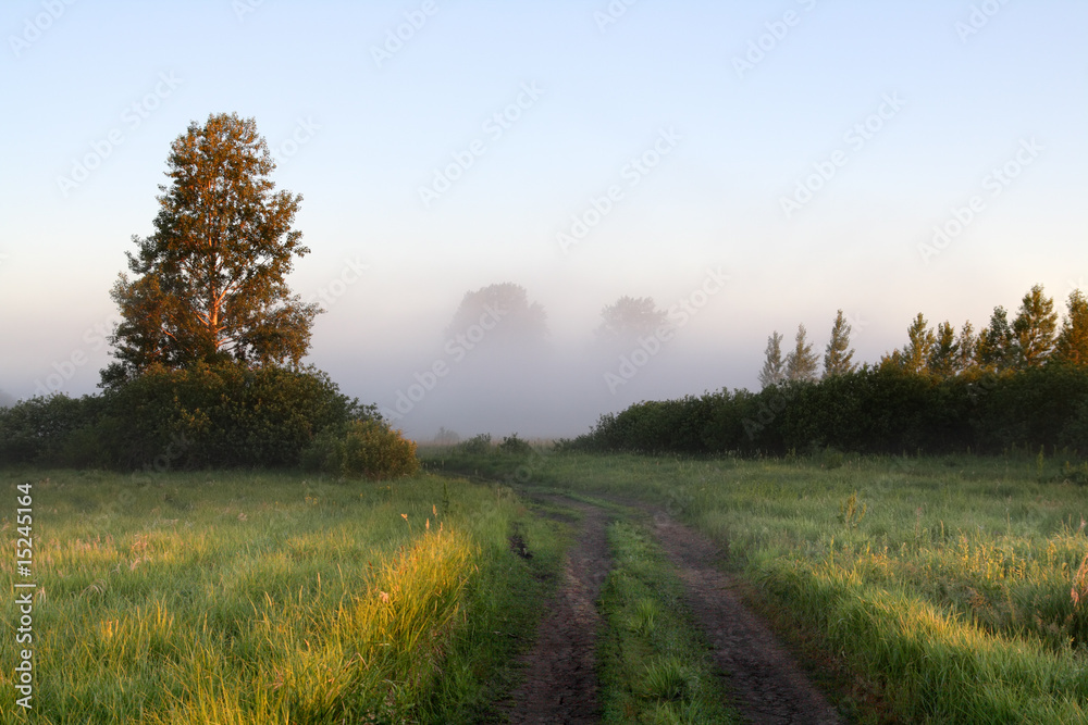 rural rod leading to fog