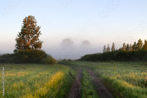 rural rod leading to fog