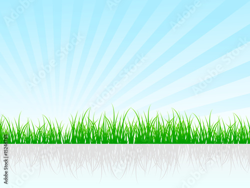 Herb background