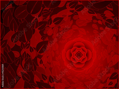 Red rose background