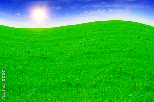 Green field,sun and blue sky. © Elena Volkova