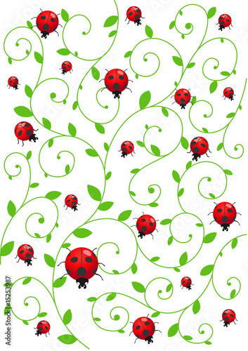 Wallpaper Mural Summer background with ladybirds Torontodigital.ca