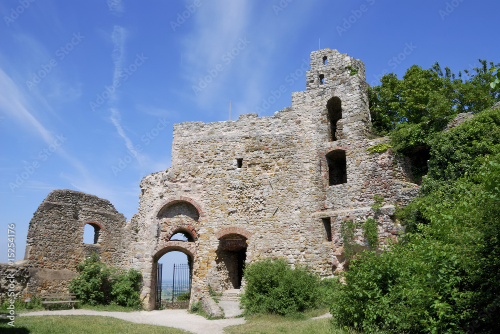 Castle ruin