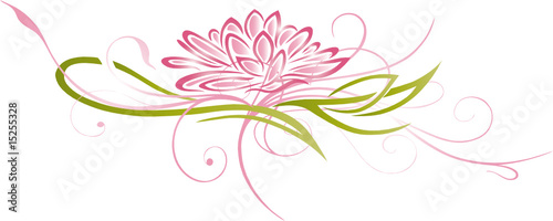 Lotusblüte, Lotusblume, Lotus, Seerose