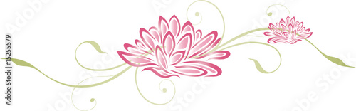 Lotusblüten, Lotusblumen, Lotus, Seerosen