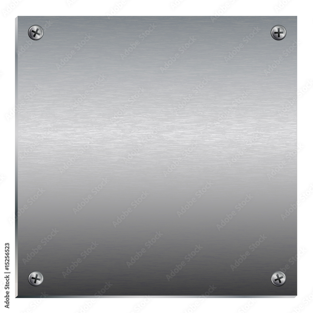 Brushed Metal Plate With Screws