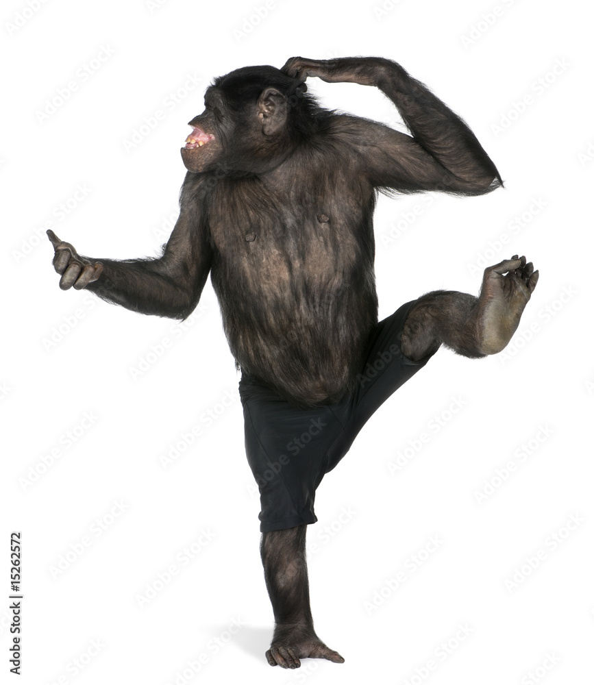Naklejka premium małpa tańczy na jednej nodze