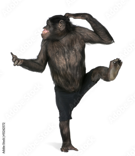 monkey  dancing on one foot