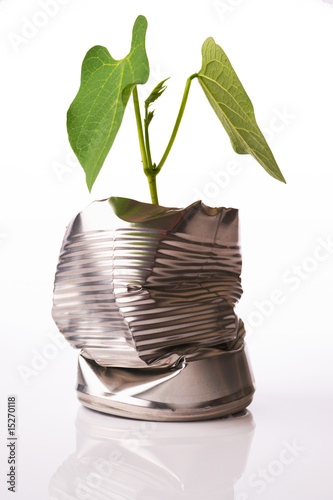 Green recycling concept plant growing out of tin can