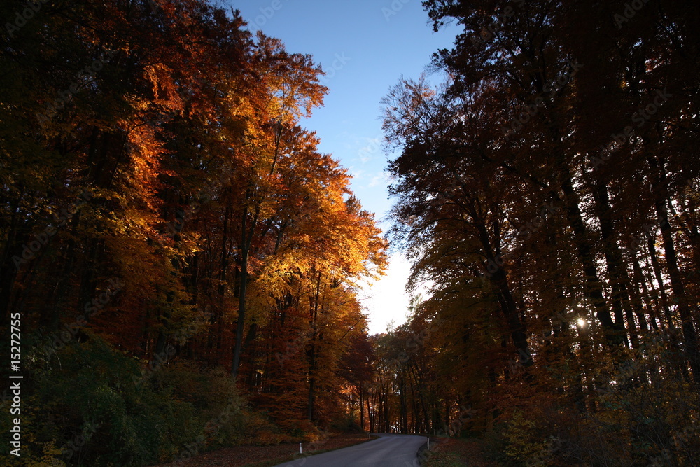 Highway in den Herbst