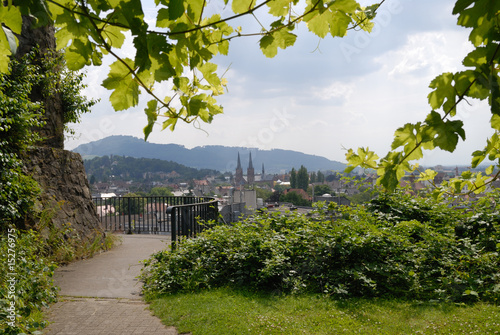Freiburg vom Berg