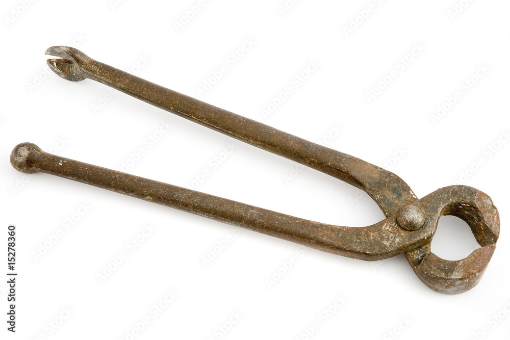 Obraz premium nail nippers