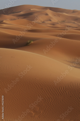 dunes © Marco Sgarbi