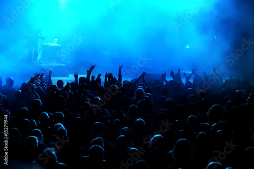 Cheering crowd at concert