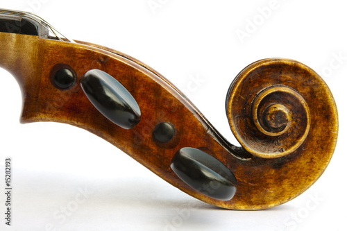 schnecke einer violine