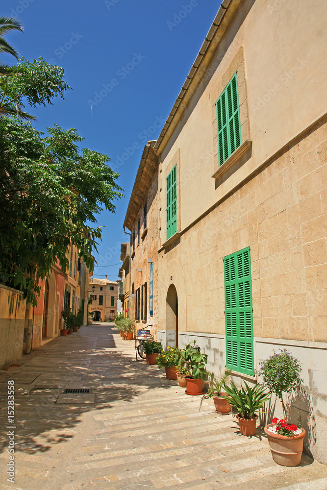 Obraz premium Aleja w Alcudii