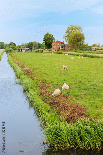 Farmland with farmhouse in Holland photo