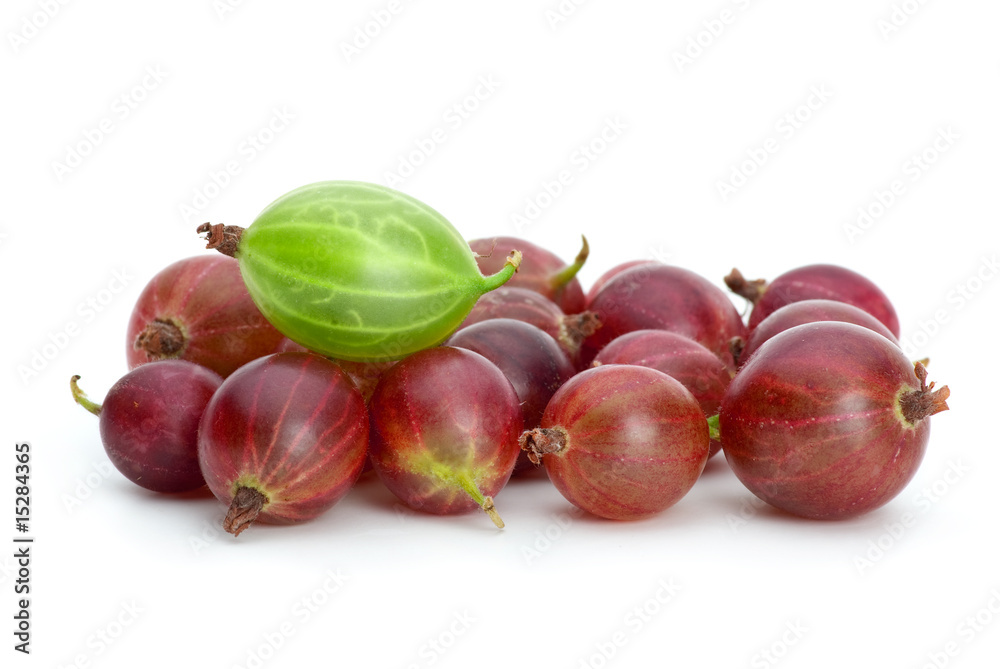 Pile of purple gooseberries and green on the top Pile of purple gooseberries and green on the top