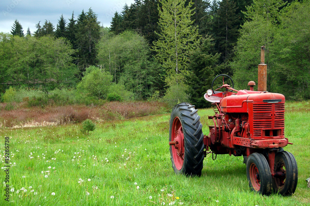 Obraz premium Vintage Red Tractor