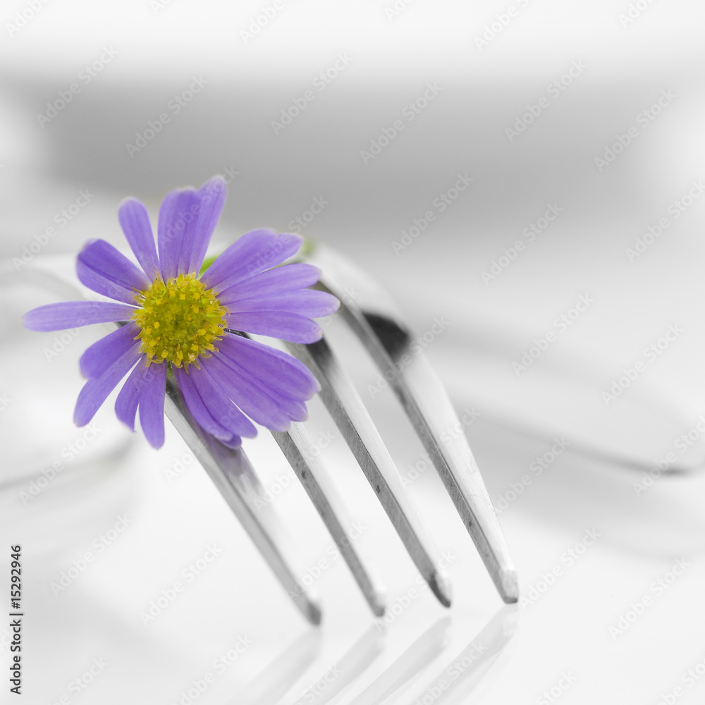 Obraz na plátně fork and flower