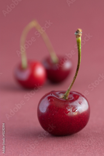 Still life with cherries 2