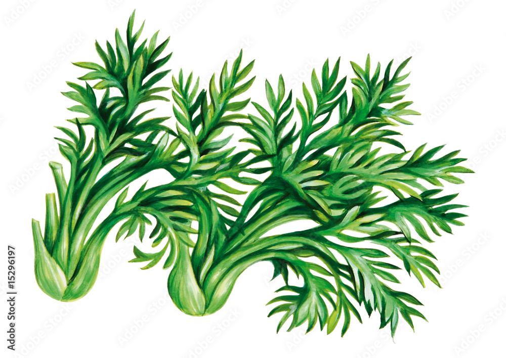 Naklejka premium Karottengrün