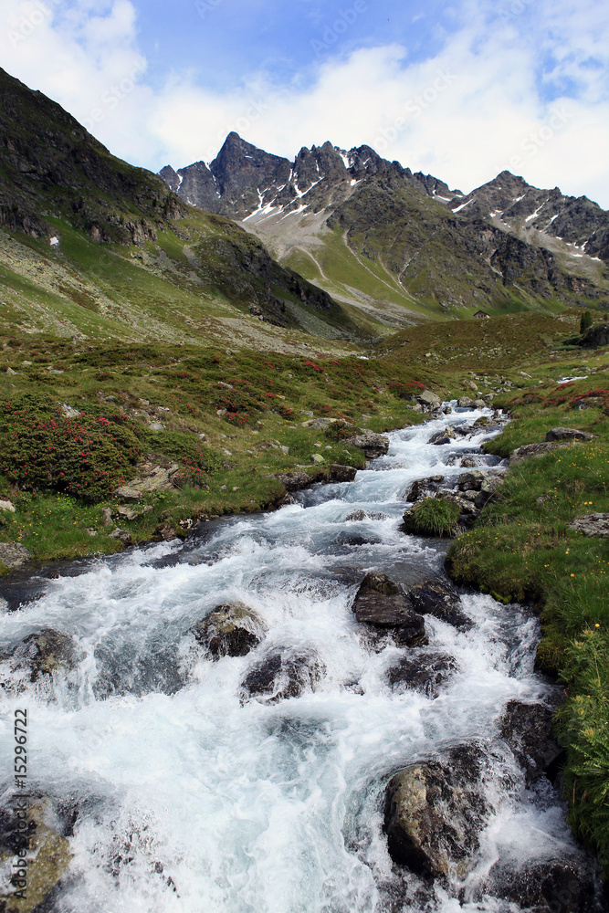 Bergbach - Mountain creek