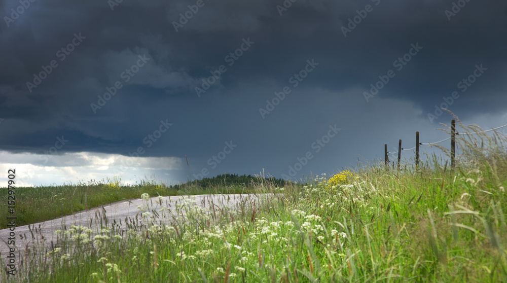 Summer landscape Summer landscape
