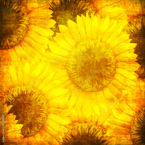 Sunflower pattern in grunge style