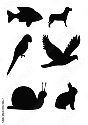 Animal silhouettes