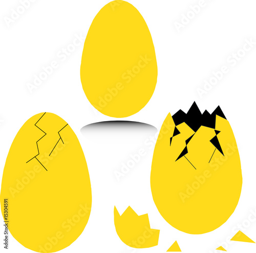 egg illustration