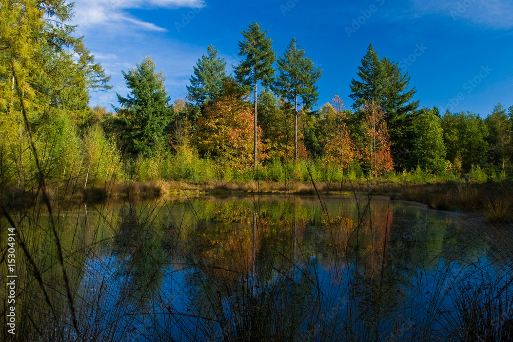 Landscape of a lake with colorful autumn trees