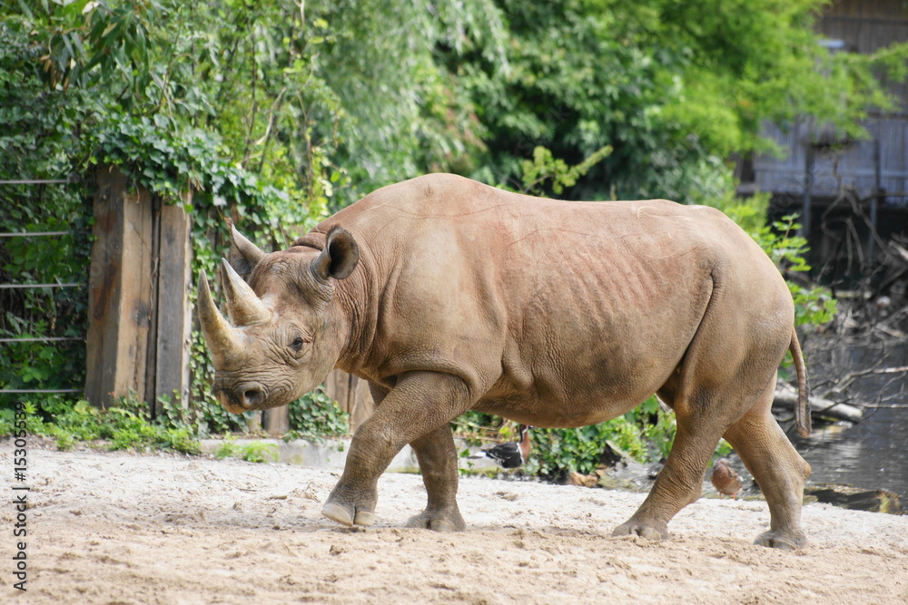 Naklejka premium SONY DSC