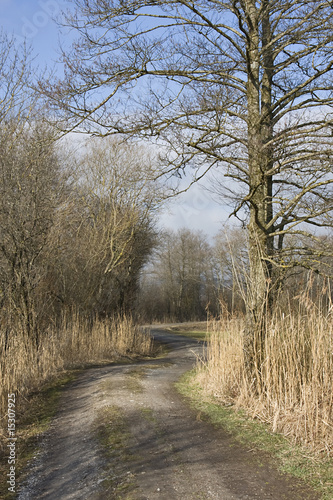 der weg